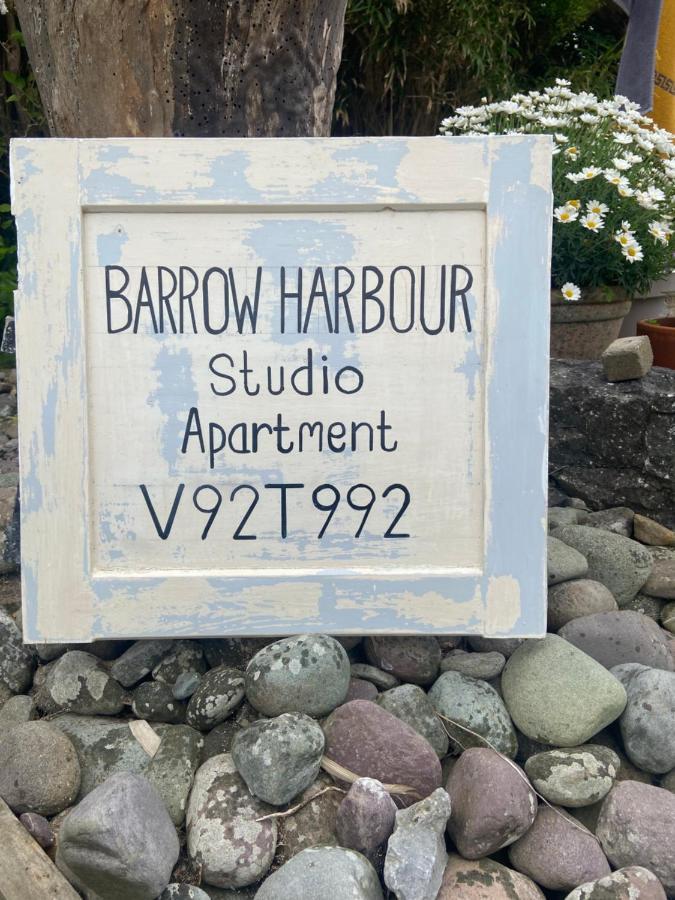 Barrow Harbour Studio Apartment Tralee Kültér fotó